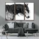 Majestic Horse Wall Art – Framed Black White Portrait Canvas by MyGreatCanvas | Canvas Wall Art Prints | Photo Prints & Wall Decor