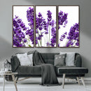 Lavender Flower Wall Art Canvas Print by MyGreatCanvas | Canvas Wall Art Prints | Photo Prints & Wall Decor
