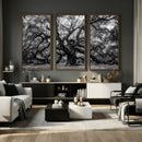Black and White Old Angel Oak Tree Wall Art Canvas Print