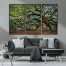 Historic Tree Wall Art – Framed Mossy Branch Canvas Artwork, by MyGreatCanvas | Canvas Wall Art Prints | Photo Prints & Wall Decor