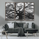 Ancient Oak Wall Art Canvas Print – Gnarled Tree Twisted by MyGreatCanvas | Canvas Wall Art Prints | Photo Prints & Wall Decor