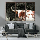 Texas Longhorn Wall Art Canvas Print – Framed Spotted Bull