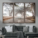 Cypress Tunnel Wall Art – Framed Misty Road Canvas Artwork, by MyGreatCanvas | Canvas Wall Art Prints | Photo Prints & Wall Decor