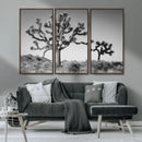 Joshua Tree Wall Art Canvas Print – Framed Monochrome Desert