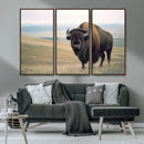 Bison Wall Art Canvas Print – Framed Buffalo American Bison
