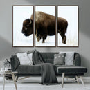 Bison Wall Art Canvas Print – Framed Western Wildlife