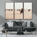 Bison Herd Wall Art Canvas Print – Framed Western Prairie by MyGreatCanvas | Canvas Wall Art Prints | Photo Prints & Wall Decor