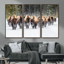 American Bison Herd Wall Art Canvas Print – Powerful Winter by MyGreatCanvas | Canvas Wall Art Prints | Photo Prints & Wall Decor
