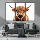 Scottish Highland Cow Canvas Print, Framed Highland Cow