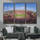 William Brice Stadium Wall Art Canvas Print – Stadium Crowd by MyGreatCanvas | Canvas Wall Art Prints | Photo Prints & Wall Decor