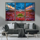 Tennessee Neyland Stadium Wall Art, Sports Arena Canvas by MyGreatCanvas | Canvas Wall Art Prints | Photo Prints & Wall Decor