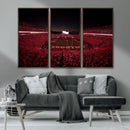 Dooley Stadium Wall Art, Sports Arena Canvas Print, Dooley by MyGreatCanvas | Canvas Wall Art Prints | Photo Prints & Wall Decor