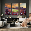Dooley Stadium Wall Art, Sports Arena Canvas Print, Dooley