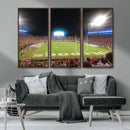 Dooley Stadium Wall Art, Sports Arena Panoramic Canvas by MyGreatCanvas | Canvas Wall Art Prints | Photo Prints & Wall Decor
