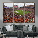 Jordan-Hare Stadium Wall Art Canvas Print, College Sports by MyGreatCanvas | Canvas Wall Art Prints | Photo Prints & Wall Decor