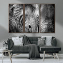 Wild Old Elephant Wall Art Canvas Print