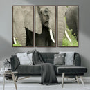 Wild Elephant Wall Art Canvas Print by MyGreatCanvas | Canvas Wall Art Prints | Photo Prints & Wall Decor