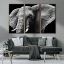 Big Elephant Close Up Wall Art Canvas Print