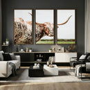 Texas Catle Longhorn Wall Art Canvas Print for Farmhouse by MyGreatCanvas | Canvas Wall Art Prints | Photo Prints & Wall Decor