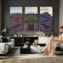 Oklahoma Sooners Gaylord Family Oklahoma Memorial Stadium