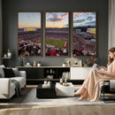 Donald W. Reynolds Razorback Stadium Wall Art Canvas Print –