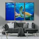 Sea Turtle Wall Art Canvas Print, Sea life in the Ocean Wall