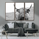 Newfoundland Cow Art Wall Art, Black White Cow Art Wall Art