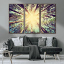 Tree and Sunshine Canvas Print