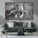 King Forest Lion Wall Art Canvas Print – Framed Majestic by MyGreatCanvas | Canvas Wall Art Prints | Photo Prints & Wall Decor