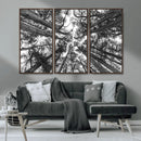 Trees Contemporary Art Canvas Print by MyGreatCanvas | Canvas Wall Art Prints | Photo Prints & Wall Decor