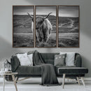 Fluffy Cattle Wall Art Print, Highland Cow Canvas, Framed by MyGreatCanvas | Canvas Wall Art Prints | Photo Prints & Wall Decor