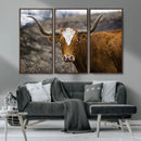 Texas Longhorn Canvas Wall Art - Longhorn Steer Canvas Wall by MyGreatCanvas | Canvas Wall Art Prints | Photo Prints & Wall Decor