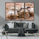 Lion Pair Wall Art Canvas Print – Framed Wildlife Scene with
