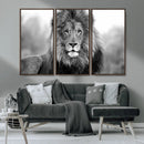 Black and White Lion Canvas Wall Art – Animal Print Artwork
