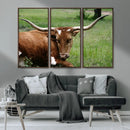 Longhorn Cow Animal Wall Art Canvas Print by MyGreatCanvas | Canvas Wall Art Prints | Photo Prints & Wall Decor