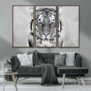 Tiger Canvas Artwork Wall Art Print
