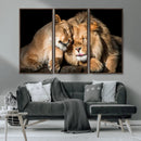 Lion and Lioness Wall Art Canvas Print – Framed African