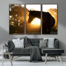Horse at Sunset Wall Art Animal Canvas Print