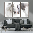 White Horse Wall Art Animal Canvas Print by MyGreatCanvas | Canvas Wall Art Prints | Photo Prints & Wall Decor