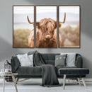 Scottish Serene Highland Cow Canvas Wall Art – Serene
