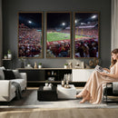 Washington-Grizzly Stadium Canvas Print, American Football