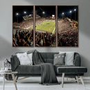 Washington-Grizzly Stadium Canvas Print, American Football