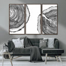 Abstract Large Tree Rings – Minimalist Black and White Wood
