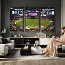 Arizona Diamondbacks Baseball Team Print - Phoenix Chase