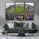 Boca Juniors Soccer Team Print Wall Art - Buenos Aires