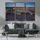 South Carolina Gamecocks Football Team Print - Columbia