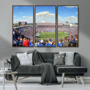 Buffalo Bills NFL Football Team Print - Buffalo Highmark