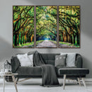 Serene Tree Tunnel Wall Art Canvas Print – Pathway Under by MyGreatCanvas | Canvas Wall Art Prints | Photo Prints & Wall Decor