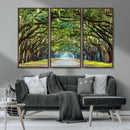 Wormsloe State Plantation Driveway Wall Art Canvas Print by MyGreatCanvas | Canvas Wall Art Prints | Photo Prints & Wall Decor