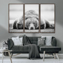 Resting Grizzly Bear Wall Art Canvas Print – Majestic Lazy by MyGreatCanvas | Canvas Wall Art Prints | Photo Prints & Wall Decor